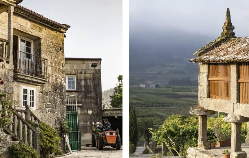 Gerardo Méndez Do Ferreiro, klasse Albariños aus dem Rias Baixas bei blauWein