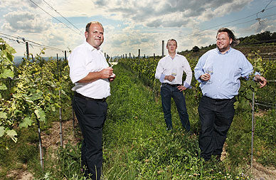 Weingut Hofstetter, Wagram Österreich