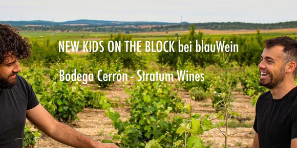 BIO Bodega Cerrón - Stratum Wines DOP Jumilla