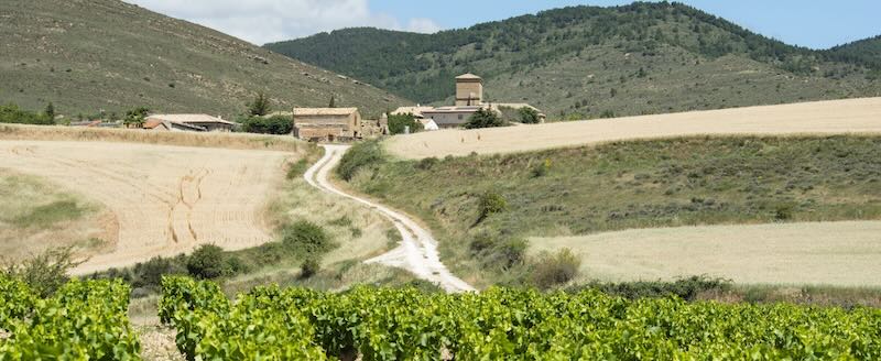 Bodega Vina zorzal D.O. Navarra blauWein VIÑA ZORZAL ROSADO 2025 VIÑA ZORZAL GARNACHA GOLERGA 2024 VIÑA ZORZAL MALAYETO 2024 VIÑA ZORZAL SEÑORA DE LAS ALTURAS 2024 VIÑA ZORZAL SEÑORA DE LAS ALTURAS BLANCO 2024 Viña Zorzal Garnacha Blanca 2025 Viña Zorzal Probierpaket D.O. Navarra