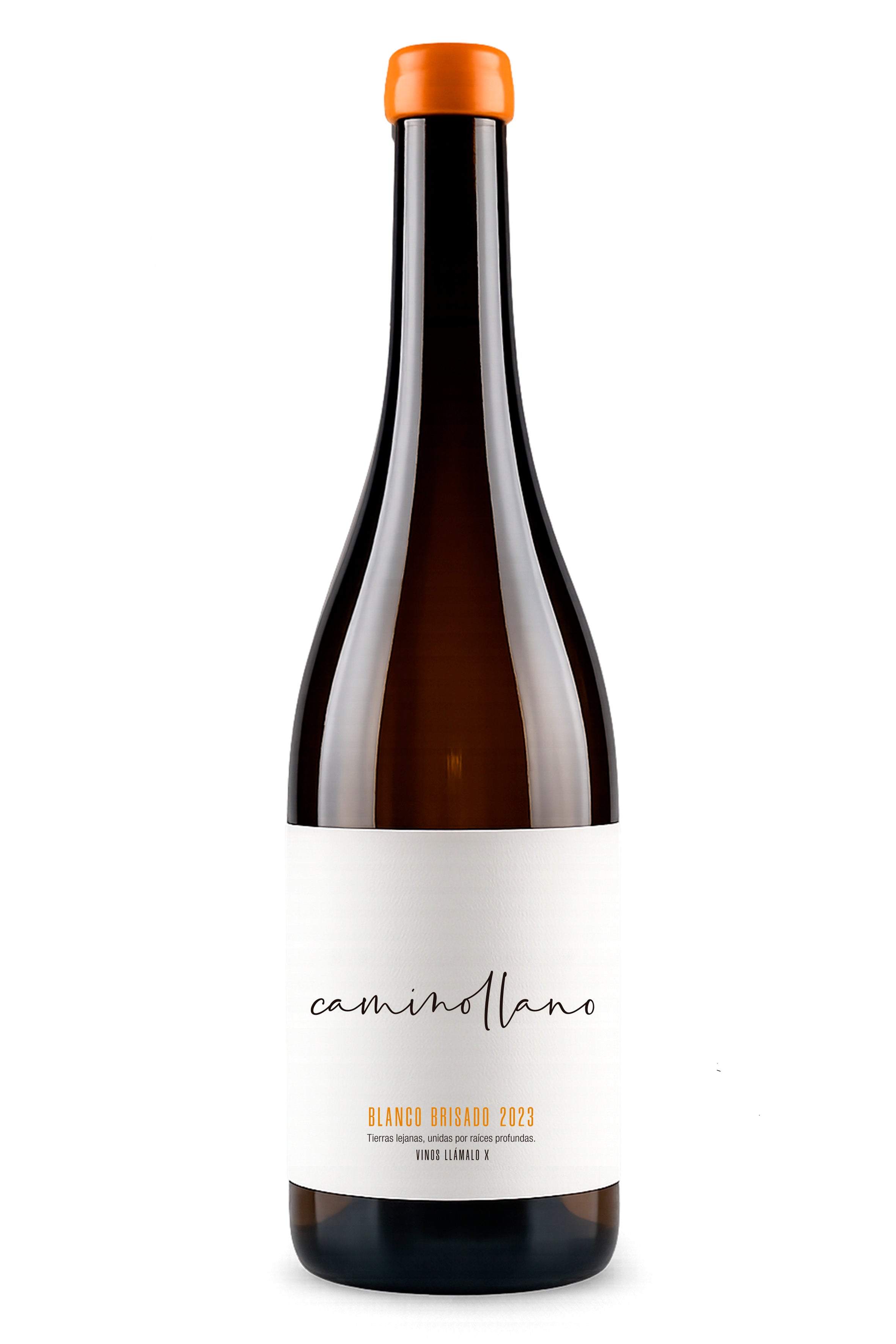 LlámaloX CAMINOLLANO 2023 Wein, Albacete, Spanien - blauWein
