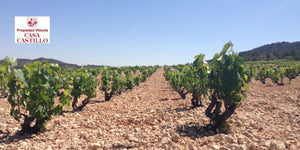 Weine von Casa Castillo aus D.O.P. Jumilla. Nachhaltige Produktion-große Weine!. Auch im Lagerverkauf blauWein Deichreihe 13, 25489 Haseldorf.