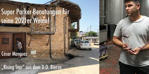 www.blauwein.de super Benotungen für die 2021er Weine von César Márquez D.O. Bierzo