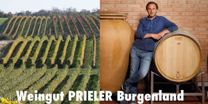 Weingut Prieler Burgenland große Weine www.blauwein.de