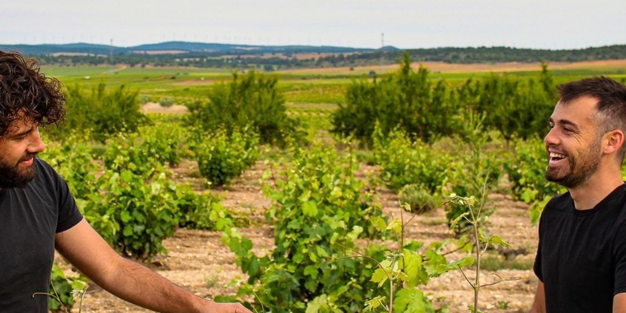 Bodega Cerrón, Stratum Wines, blauWein